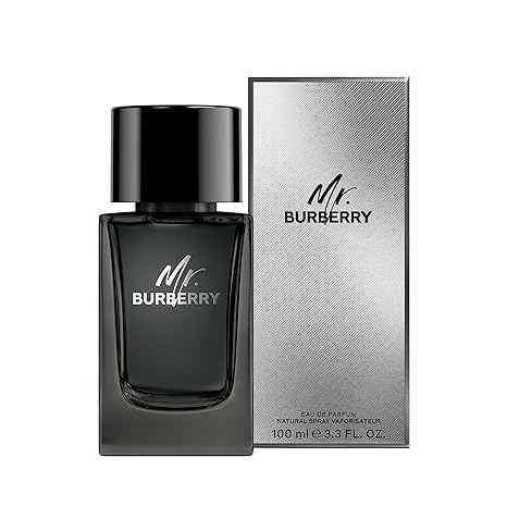 BURBERRY Mr Eau de Parfum 3.4 FLOZ